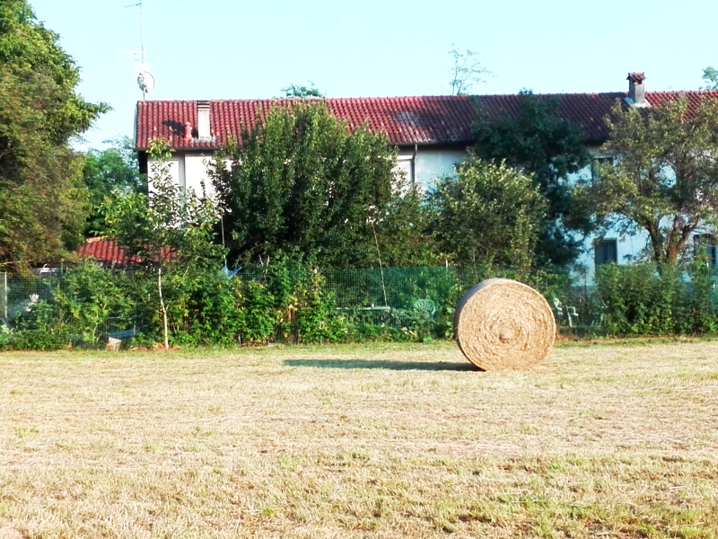 Il Casolare del Medio Olona