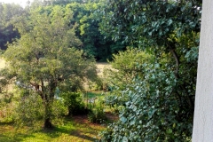 Vista dal balcone